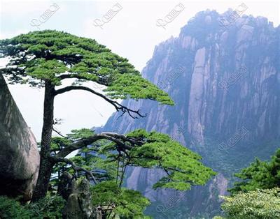 2026年黄历宜忌全解：15个重要注意事项