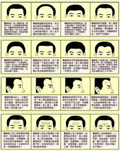 相术入门：通过鼻子了解一个人的事业